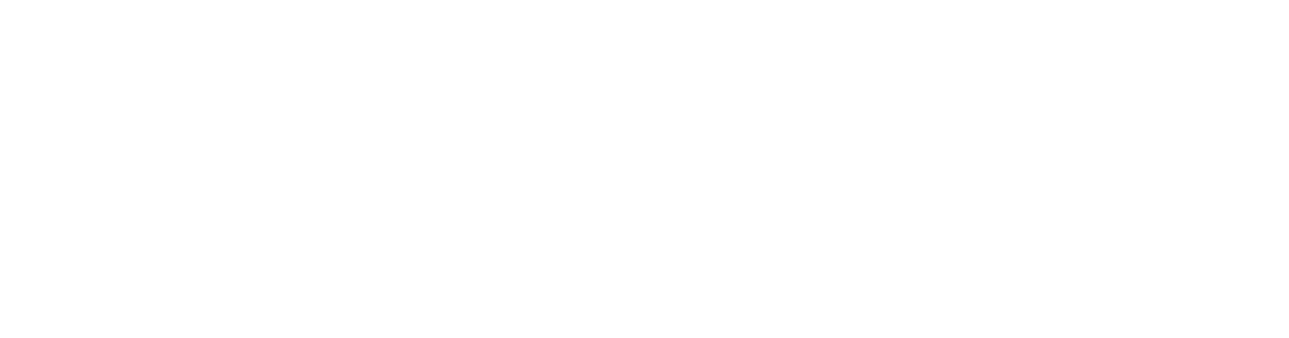 SALT Fleet Services